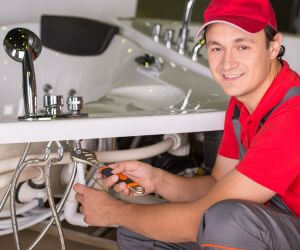 About Septic Pumping Service Bergland, MI